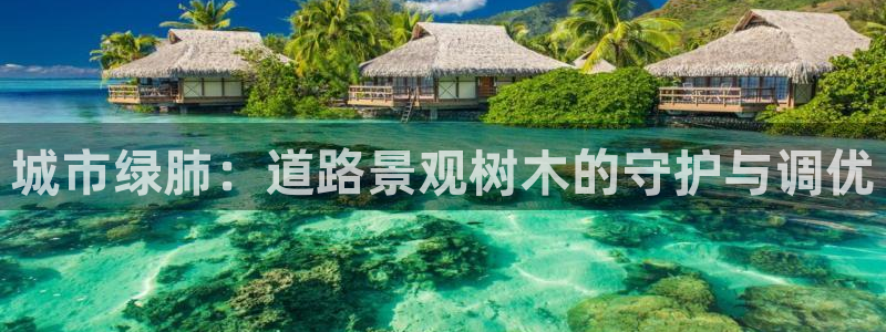 卧龙娱乐场所：城市绿肺：道路景观树木的守护与调优