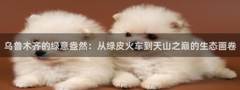 卧龙冲气娱乐设备