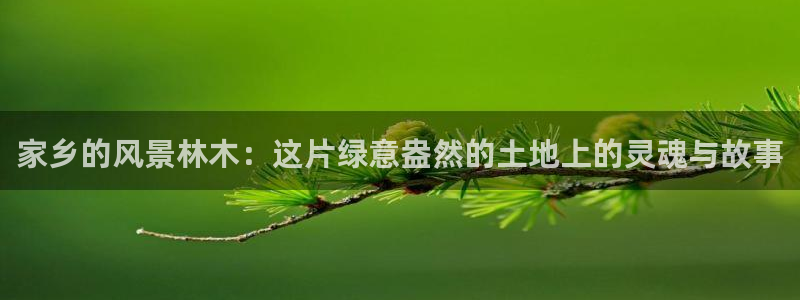 卧龙娱乐不出款了吗