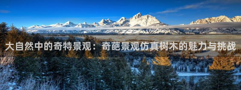 卧龙2神机娱乐攻略