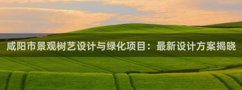 卧龙哥休闲娱乐