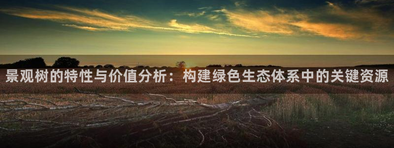 卧龙娱乐招商代理电话