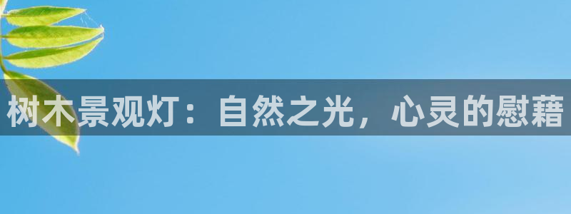 卧龙娱乐彩票：树木景观灯：自然之光，心灵的慰藉