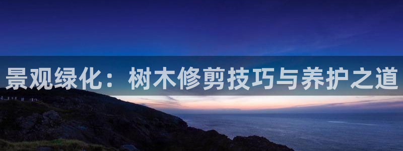 ta娱乐 卧龙股东60447