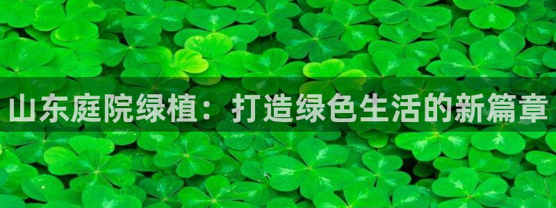 pt娱乐 卧龙招商60447