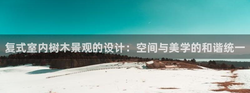 娱乐聚焦卧龙凤雏