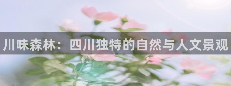 卧龙娱乐拆卡攻略