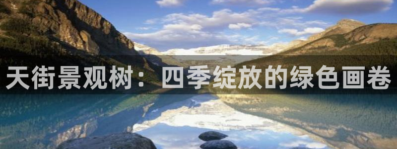 卧龙娱乐彩票官网