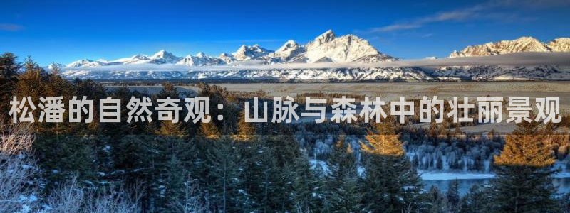 卧龙娱乐左7O667