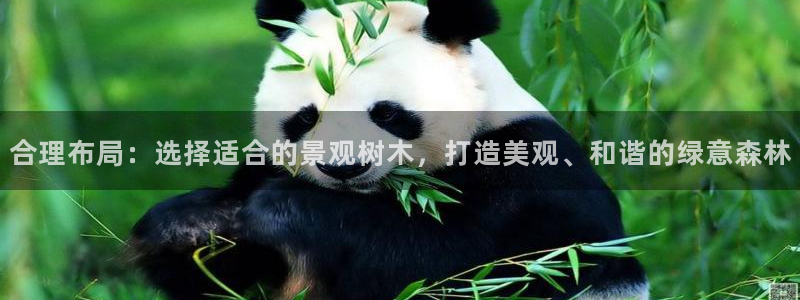 sky娱乐 扣卧龙60447