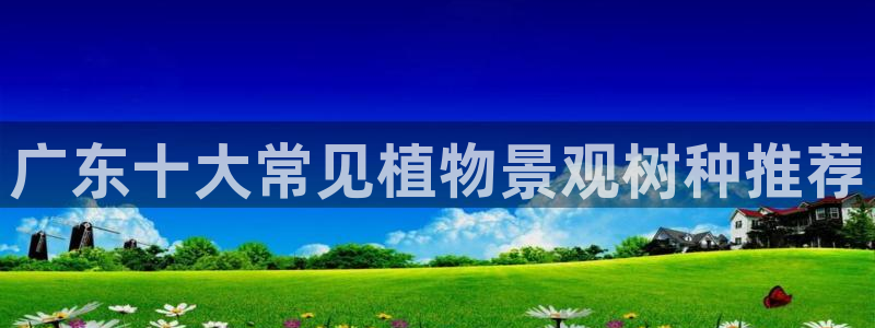 卧龙冲气娱乐设备