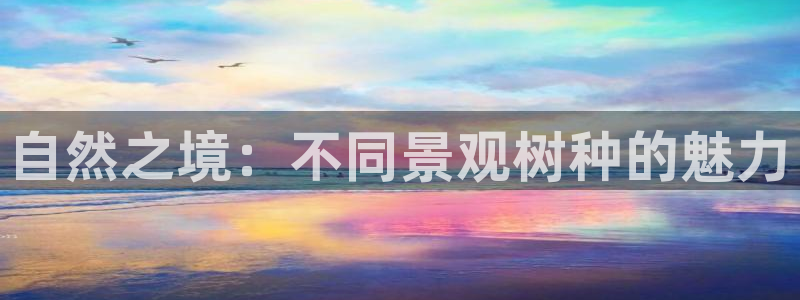 卧龙娱乐左7O667