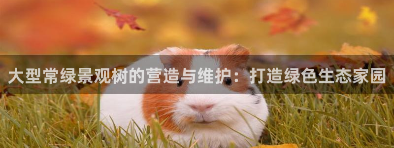 e彩娱乐 卧龙股东60447