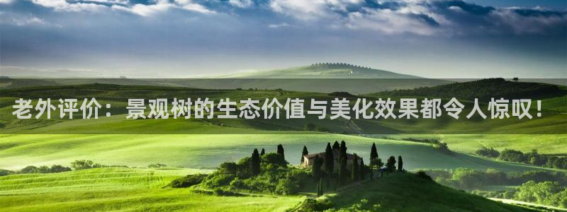 卧龙娱乐总代理电话