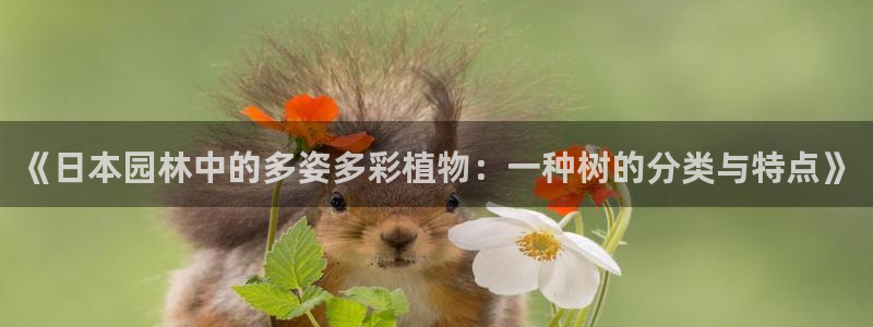 卧龙娱乐可靠吗