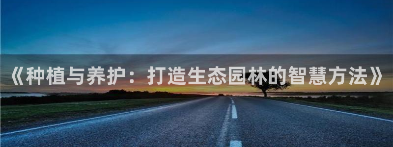 卧龙娱乐找382223