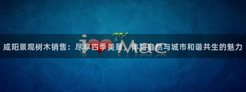 卧龙路凤凰娱乐