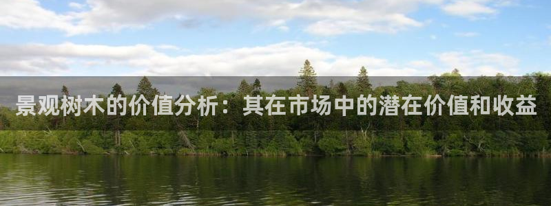 we娱乐 卧龙主管60447