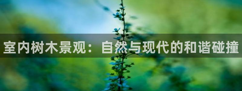 卧龙凤雏娱乐减肥：室内树木景观：自然与现代的和谐碰撞