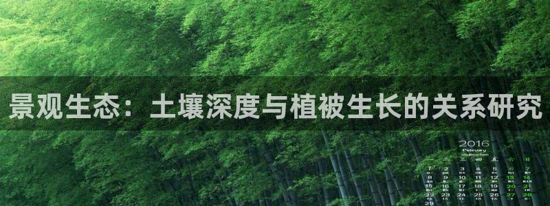 柏林娱乐- 0 卧龙