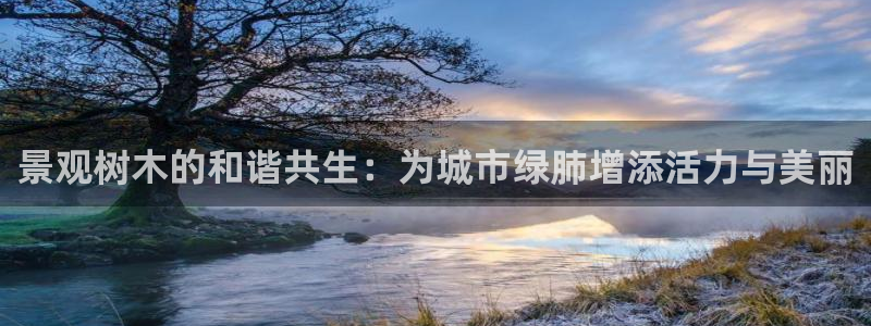 卧龙区维也纳娱乐会所