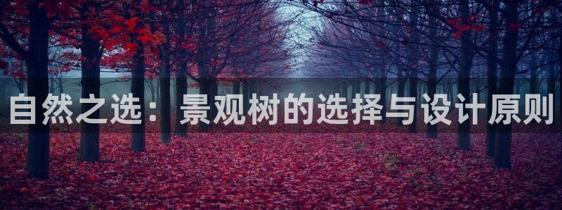 溧水卧龙湖娱乐