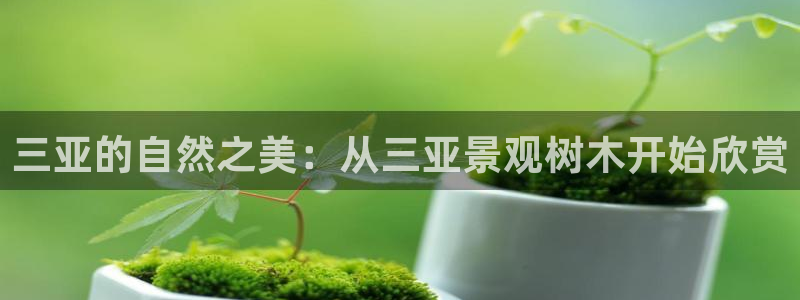 卧龙娱乐彩票兑奖中心