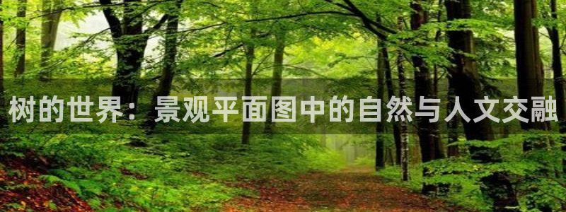 卧龙娱乐老板是谁呀图片