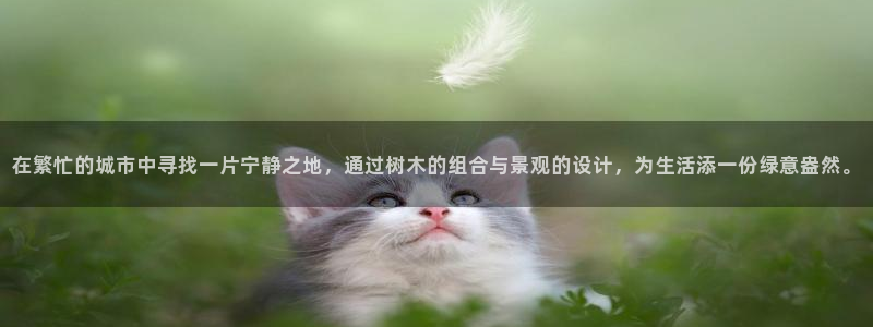 卧龙娱乐挂机软件：在繁忙的城市中寻找一片宁静之地，通过树木的组合与景观的设计，为生活添一份绿意盎然。