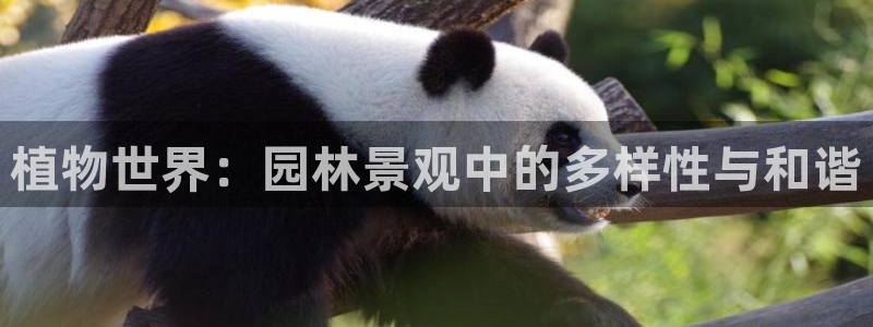 卧龙娱乐 找86555