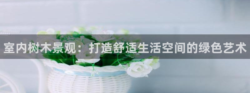 卧龙娱乐彩票官网直播