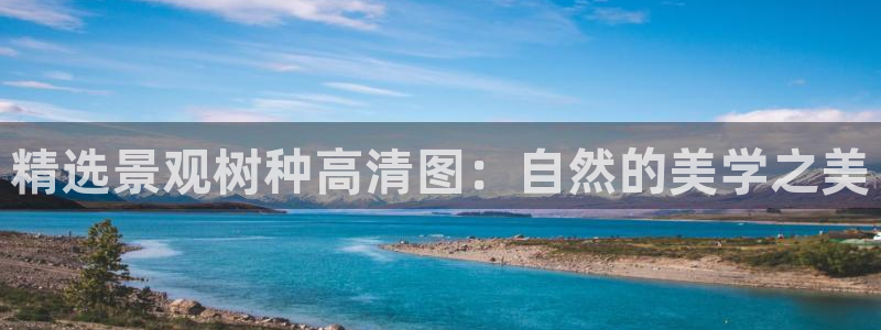 卧龙娱乐地址：精选景观树种高清图：自然的美学之美