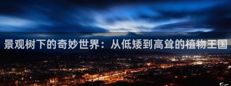 e彩娱乐 卧龙股东60447