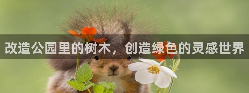 泰安卧龙大观娱乐中心