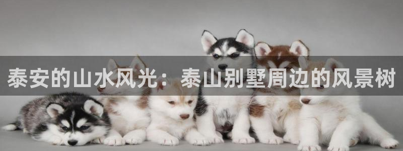 卧龙娱乐挂机平台官网