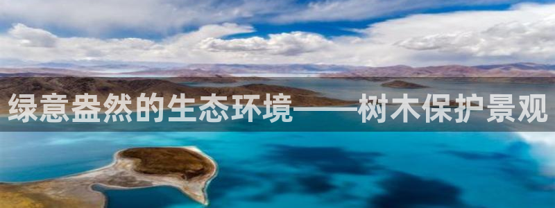 卧龙镇休闲娱乐：绿意盎然的生态环境——树木保护景观