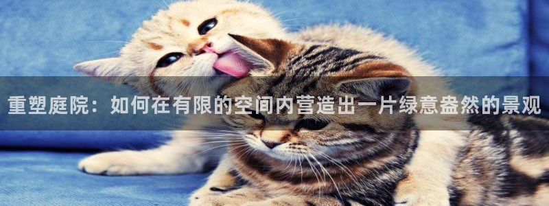 卧龙娱乐天：重塑庭院：如何在有限的空间内营造出一片绿意盎然的景观