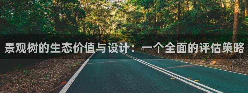 卧龙娱乐老板是谁啊