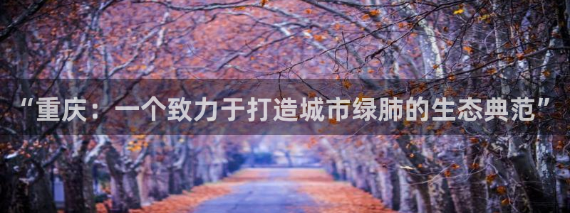 卧龙2神机娱乐代理