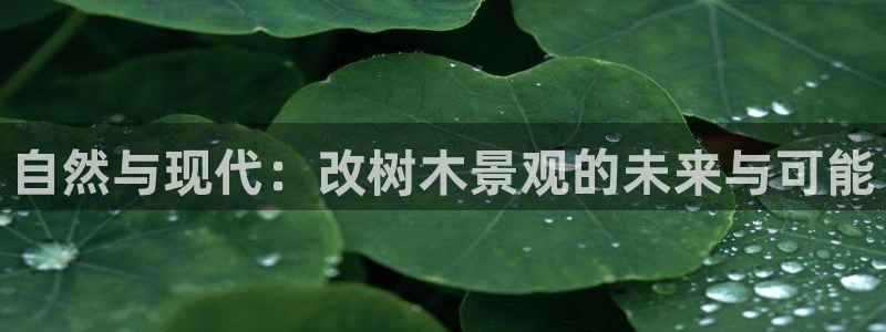 卧龙居餐饮娱乐