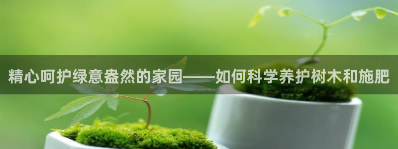 卧龙凤雏娱乐版