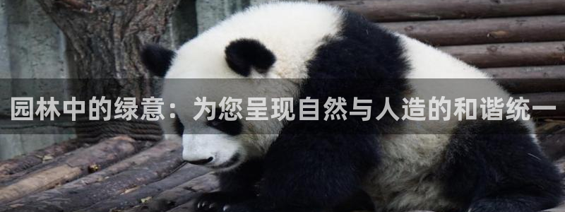 卧龙天尊国际娱乐会所