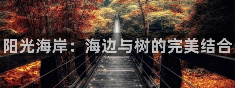 pt娱乐 卧龙招商60447