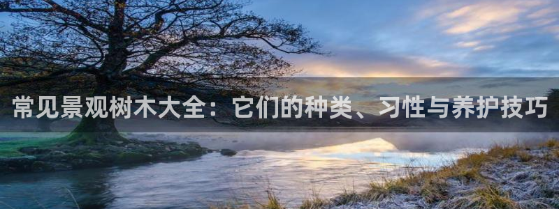 卧龙娱乐总代理是谁呀