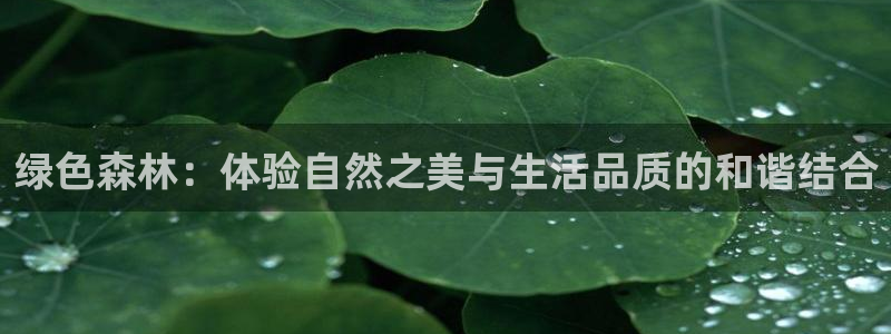 卧龙娱乐招商代理是谁