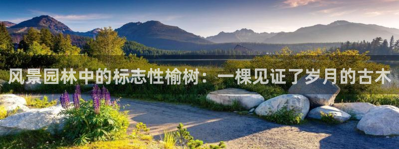 星酱娱乐卧龙