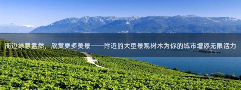 本溪卧龙休闲娱乐