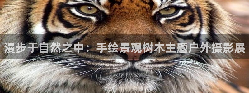 卧龙凤雏娱乐抖音