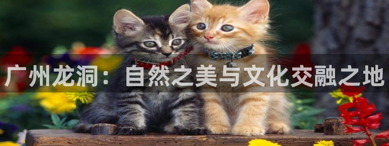 sky娱乐- 0 47卧龙