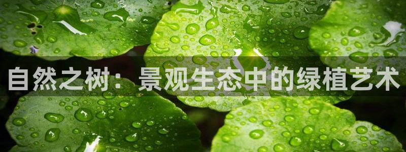 卧龙娱乐网址：自然之树：景观生态中的绿植艺术